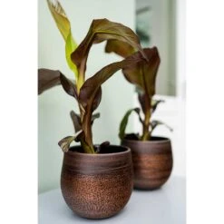 Mya Plant Pot - Shiny Mocha -Indoor Plant Store Mya Plant Pot Shiny Mocha Houseplants