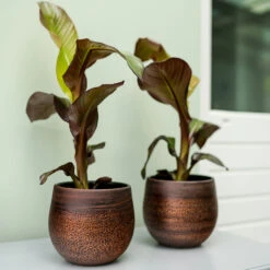Mya Plant Pot - Shiny Mocha -Indoor Plant Store Mya Plant Pot Shiny Mocha Lifestyle 04