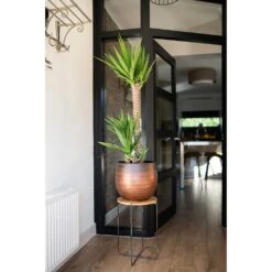 Mya Plant Pot - Shiny Mocha -Indoor Plant Store Mya Plant Pot Shiny Mocha Yucca Houseplant Plant Stand
