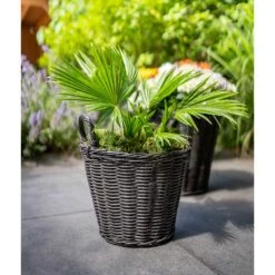 Nanna Wikr Plant Basket - Dark Brown 12 Nanna Wikr Plant Basket - Dark Brown -Indoor Plant Store Nanna Wicker Plant Basket Dark Brown Palm Tree