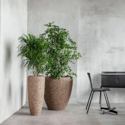 Naturescast Couple Planter - Natural -Indoor Plant Store Naturescast Couple Planter Natural Lifestyle