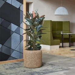 Naturescast Cylinder Planter - Natural -Indoor Plant Store Naturescast Cylinder Planter Natural Lifestyle