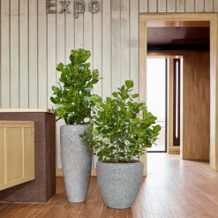 Naturescast Partner Planter - Grey -Indoor Plant Store Naturescast Partner Couple Planter Grey Liestyle 05593378 b030 4331 9376 1d57c9e7d03e