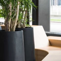 Nax Natural Tall Planter - Black 11 Nax Natural Tall Planter - Black -Indoor Plant Store Nax Natural Planter Black Office Planters Close Up