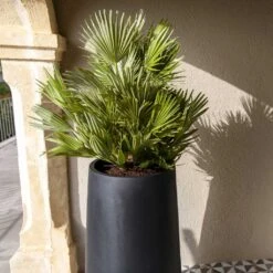 Nax Natural Tall Planter - Black 14 Nax Natural Tall Planter - Black -Indoor Plant Store Nax Natural Tall Planter Black 1