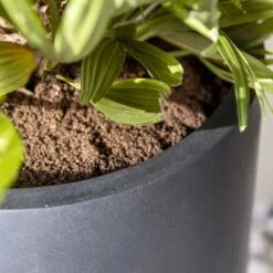 Nax Natural Tall Planter - Black 13 Nax Natural Tall Planter - Black -Indoor Plant Store Nax Natural Tall Planter Black 2