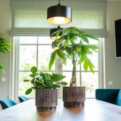 Nella Plant Pot - Coffee 13 Nella Plant Pot - Coffee -Indoor Plant Store Nella Coffee 2