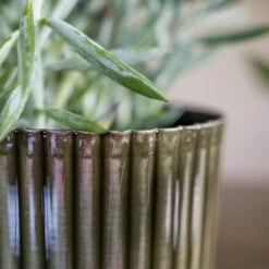 Nella Plant Pot - Forest -Indoor Plant Store Nella Forest 3