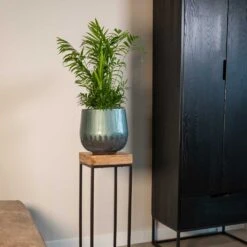 Ninthe Metal Plant Pot - Metallic Petrol -Indoor Plant Store Ninthe metallic green 01