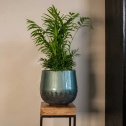 Ninthe Metal Plant Pot - Metallic Petrol -Indoor Plant Store Ninthe metallic green 02