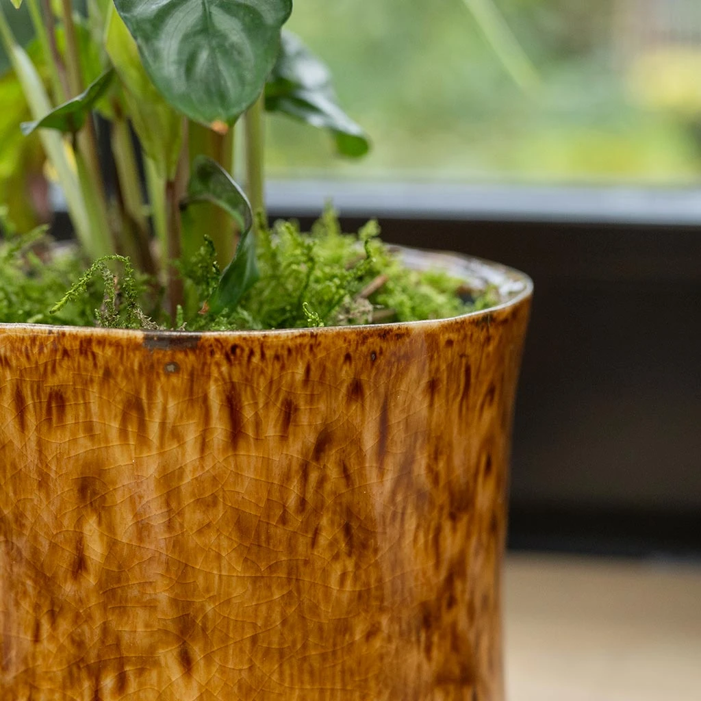Nolan Plant Pot - Caramel 10 Nolan Plant Pot - Caramel - Image 10