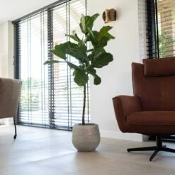 Noor Plant Pot - Metallic Grey -Indoor Plant Store Noor Plant Pot Metallic Grey 4