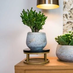 Noor Plant Pot - Metallic Grey -Indoor Plant Store Noor Plant Pot Metallic Grey 6