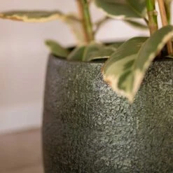 Noor Plant Pot - Velvet Green 26 Noor Plant Pot - Velvet Green -Indoor Plant Store Noor Plant Pot Velvet Green 3