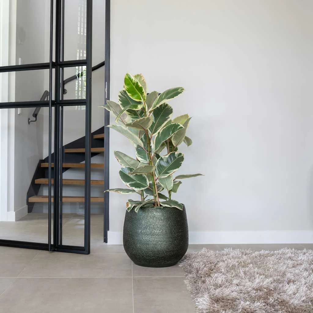 Noor Plant Pot - Velvet Green 4 Noor Plant Pot - Velvet Green - Image 4