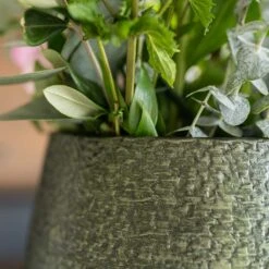 Noor Plant Pot - Velvet Green 38 Noor Plant Pot - Velvet Green -Indoor Plant Store Noor Plant Pot Velvet Green 5