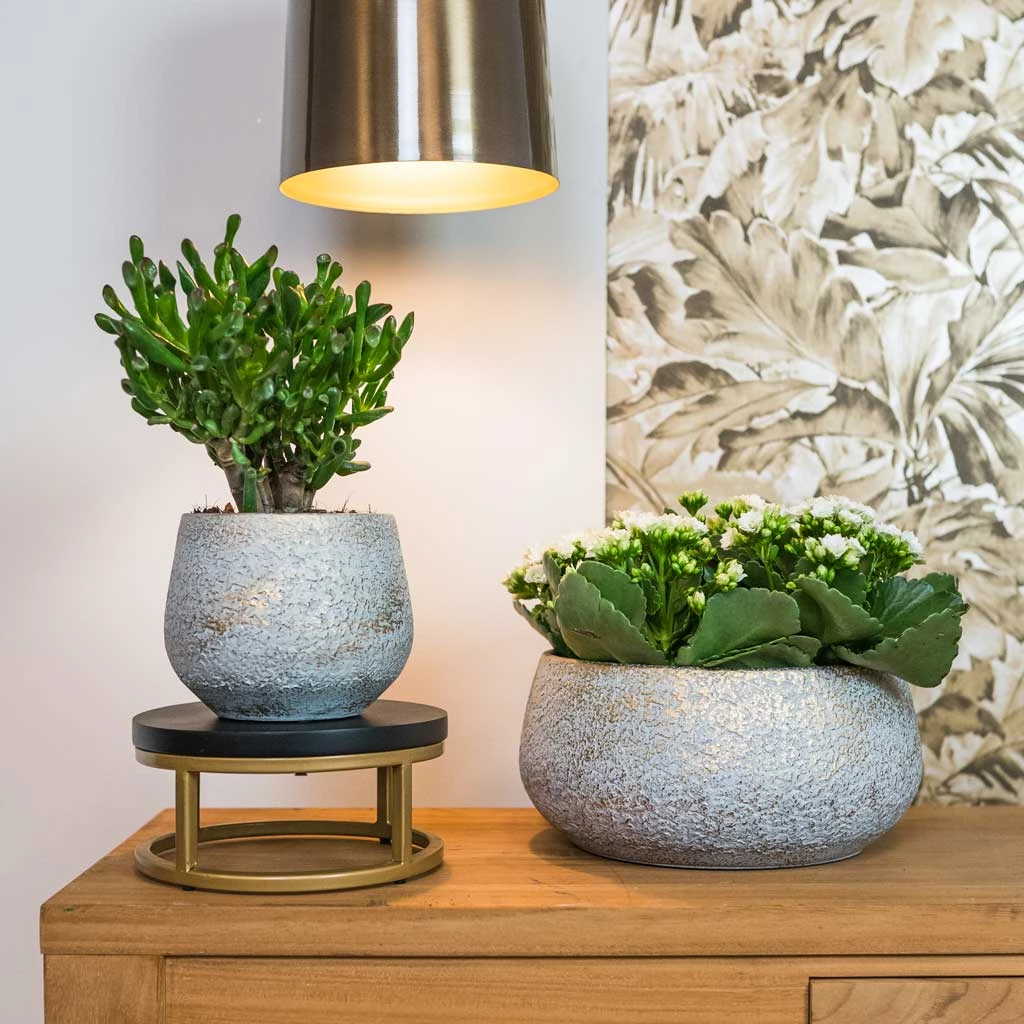 Noor Plant Bowl - Metallic Grey 5 Noor Plant Bowl - Metallic Grey - Image 5