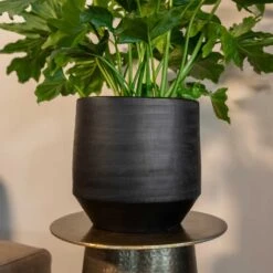 Norell Plant Pot - Black 35 Norell Plant Pot - Black -Indoor Plant Store Norell black 03