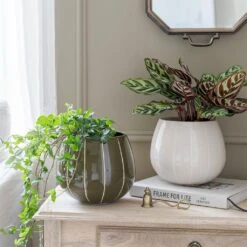 Nova Plant Pot - Green -Indoor Plant Store Nova Plant Pot Cream 23 x 18cm 11781764 6d1a 4491 88d6 b6d75afe7217