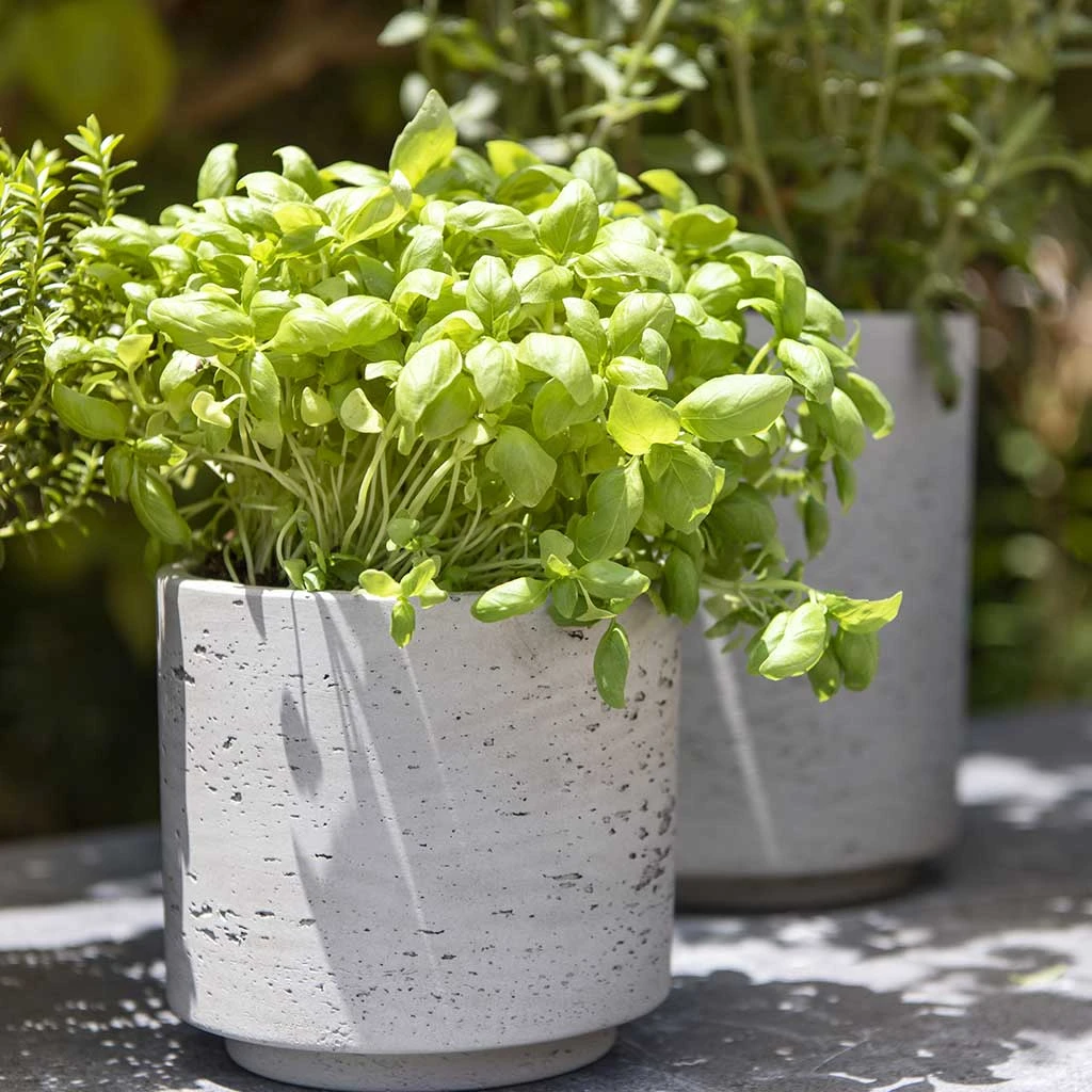 Novi Plant Pot - Grey Washed 2 Novi Plant Pot - Grey Washed - Image 2