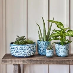 Ocean Glaze Plant Bowl - Sapphire -Indoor Plant Store Ocean Glaze Plant Bowl Sapphire 25 x 12.5cm 2 1