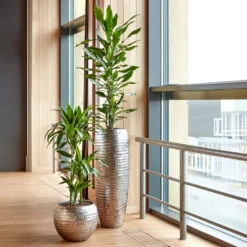 Opus Hammered Globe Planter - Silver -Indoor Plant Store Opus Hammered Globe Silver Opus Hammered Partner Silver