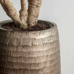 Opus Hammered Partner Planter - Gold -Indoor Plant Store Opus Hammered Partner Planter Gold 1