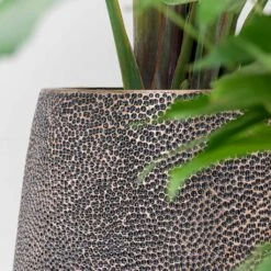 Opus Hit Darcy Planter - Gold 31 Opus Hit Darcy Planter - Gold -Indoor Plant Store Opus Hit Darcy Planter Gold Textures