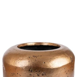 Opus Raw Couple Planter - Gold -Indoor Plant Store Opus Raw Couple Planter Gold SWATCH 3