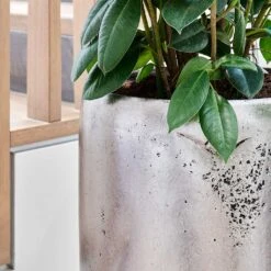 Opus Raw Partner Planter - Silver -Indoor Plant Store Opus Raw Silver 1