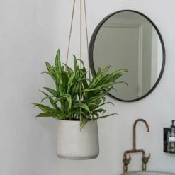 Patt Hanging Plant Pot - Grey Washed -Indoor Plant Store Patt Hanging Plant Pot Grey Washed