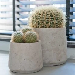 Patt Plant Pot - Grey Washed -Indoor Plant Store Patt Plant Pot Grey Washed Cacti