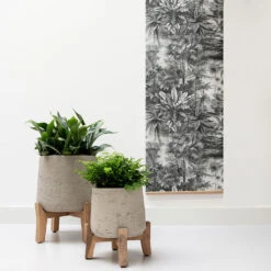 Patt Plant Pot - Low Stand - Grey Washed 10 Patt Plant Pot - Low Stand - Grey Washed -Indoor Plant Store Patt Plant Pot Low Stand Grey Washed Lifestyle 01