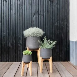 Patt Plant Pot - Tall Stand - Black Washed 11 Patt Plant Pot - Tall Stand - Black Washed -Indoor Plant Store Patt Plant Pot Tall Stand Black Washed Lifestyle 01