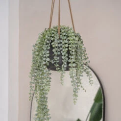 Patt Hanging Plant Pot - Black Washed 27 Patt Hanging Plant Pot - Black Washed -Indoor Plant Store PattHangingPlantPot BlackWashed 3