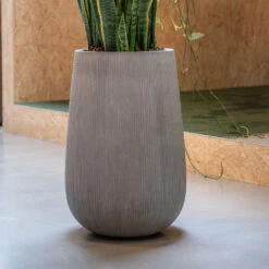 Indoor Plant Store -Indoor Plant Store PattHighPlantVase RidgedCement 1
