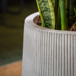 Patt High Plant Vase - Ridged Cement -Indoor Plant Store PattHighPlantVase RidgedCement 2