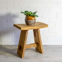 Lindy Plant Pot - Ochre -Indoor Plant Store Peperomia obtusifolia Green Baby Rubber Plant Lindy Plant Pot Ochre natural