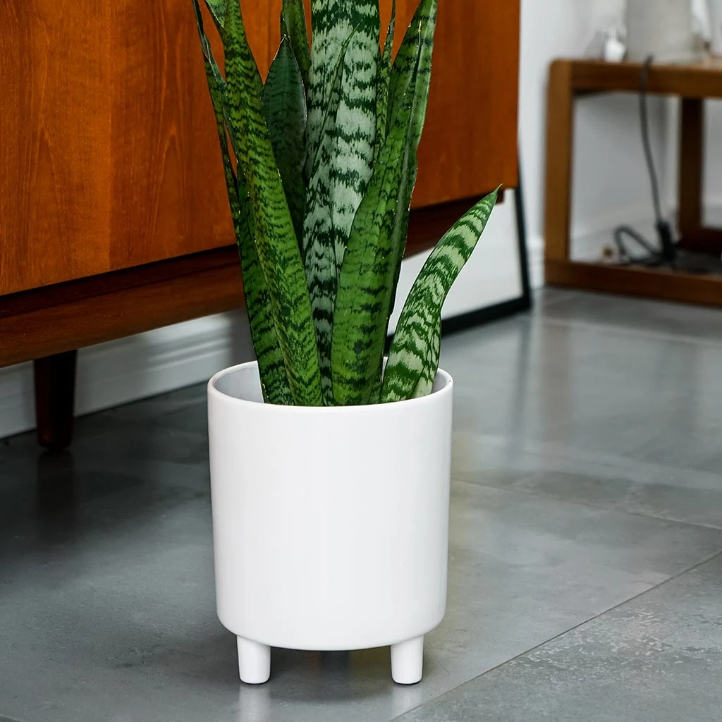 Pisa Plant Pot - White 5 Pisa Plant Pot - White - Image 5