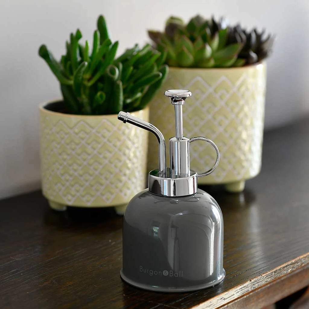 Indoor Plant Mister - Charcoal 4 Indoor Plant Mister - Charcoal - Image 4