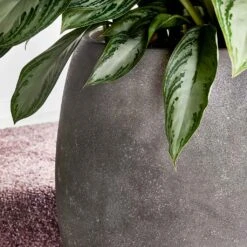 Polystone Coated Plain Balloon Planter - Raw Grey 9 Polystone Coated Plain Balloon Planter - Raw Grey -Indoor Plant Store Polystone Coated Plain Balloon Planter Raw Grey Lifestyle Close