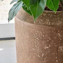 Polystone Coated Plain Coppa Planter - Rock -Indoor Plant Store Polystone Coated Plain Coppa Planter Rock 1