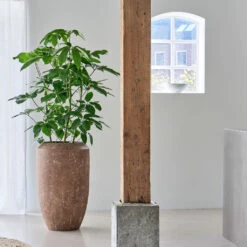 Polystone Coated Plain Coppa Planter - Rock -Indoor Plant Store PolystoneCoatedPlainCoppaPlanter Rock 4