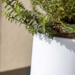 Puk Essentials Planter - Matt White -Indoor Plant Store Puk Planter Matt White Close Up