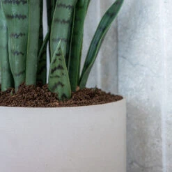 Puk Refined Planter - Natural White -Indoor Plant Store Puk Refined Planter Natural White Lifestyle 003