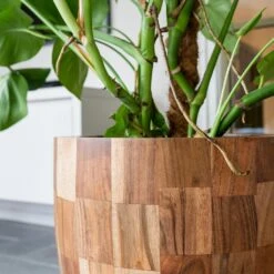 Quinn Planter - Natural -Indoor Plant Store Quinn Natural 2