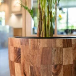 Quinn Planter - Natural -Indoor Plant Store Quinn Natural 4