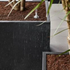 Raindrop Cube Planter - Anthracite 13 Raindrop Cube Planter - Anthracite -Indoor Plant Store Raindrop Cube Anthracite 2