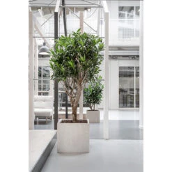 Raindrop Cube Planter - Stone -Indoor Plant Store Raindrop Cube Planter Stone Lifestyle