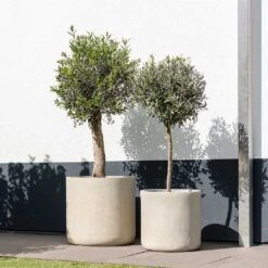 Raindrop Round Planter - Stone -Indoor Plant Store Raindrop Round Planter Stone Outdoor Trees